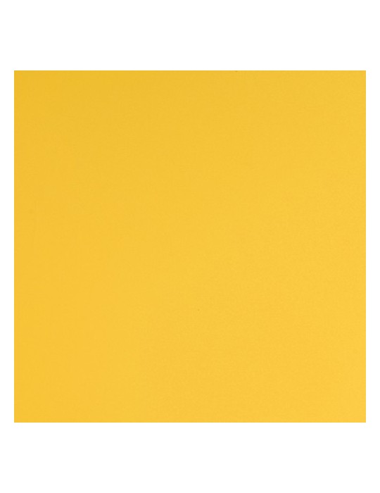 E3110B - Jaune Vif Brillant